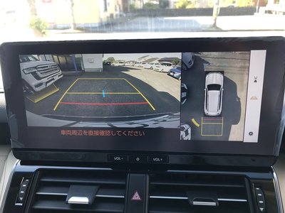 2025 Toyota LAND CRUISER 300 照片 17