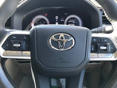 2025 Toyota LAND CRUISER 300 照片 19