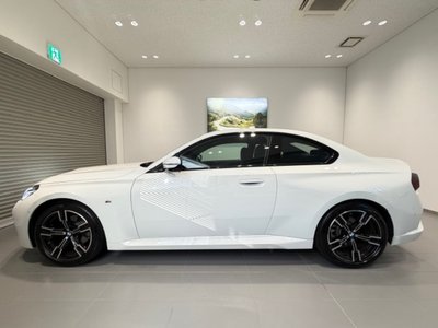 2025 BMW 2 SERIES COUPE thumbnail 17