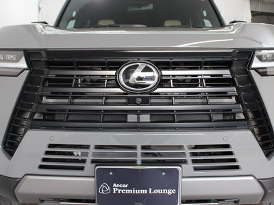 2025 Lexus GX 照片 26