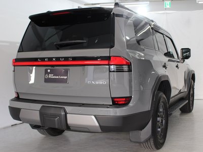 2025 Lexus GX 照片 48