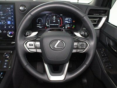 2025 Lexus GX 照片 21