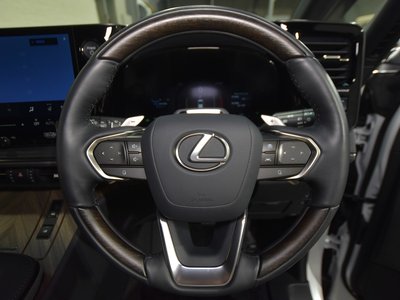 2024 Lexus LM photo 16