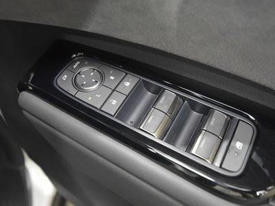 2024 Lexus LM photo 41