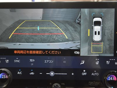 2024 Lexus LM photo 31