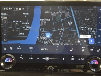 2024 Lexus LM photo 29