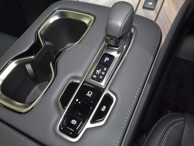 2024 Lexus LM photo 39