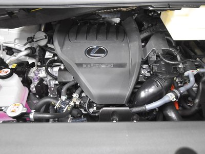 2024 Lexus LM photo 26
