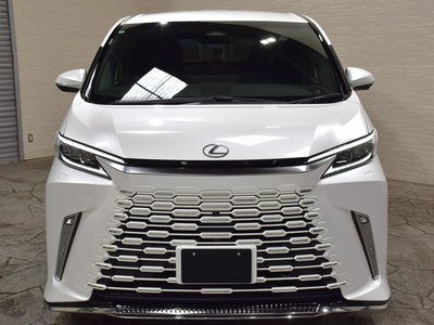 2024 Lexus LM photo 10