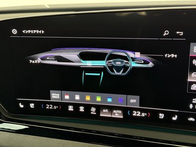 2025 AUDI S5 AVANT photo 36