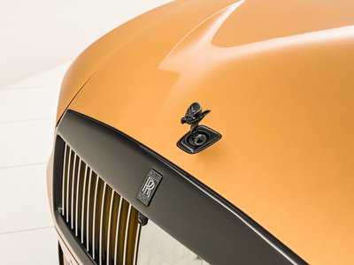 صورة 46 لـ 2025 ROLLS-ROYCE SPECTRE