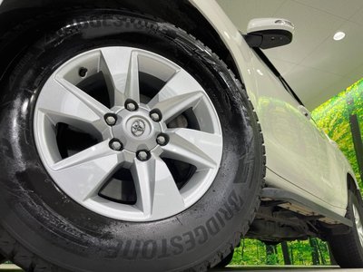 2022 Toyota LAND CRUISER PRADO 照片 14