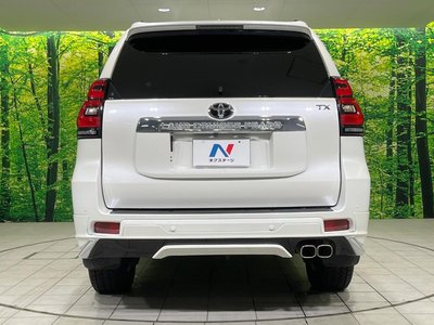 2022 Toyota LAND CRUISER PRADO 照片 16