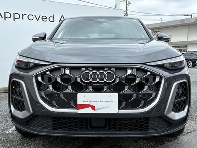 2025 AUDI Q5 SPORTBACK 缩略图 18