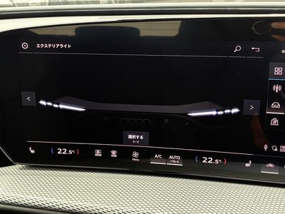 2025 AUDI Q5 SPORTBACK 缩略图 27