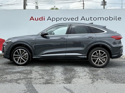 2025 AUDI Q5 SPORTBACK 缩略图 20