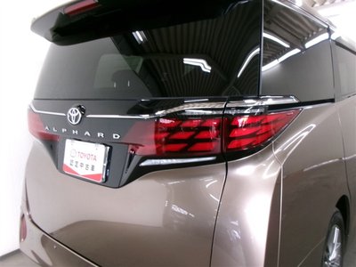 2024 Toyota ALPHARD — фото 30