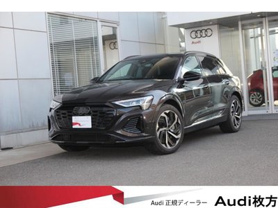 2025 AUDI Q8 E-TRON photo 1