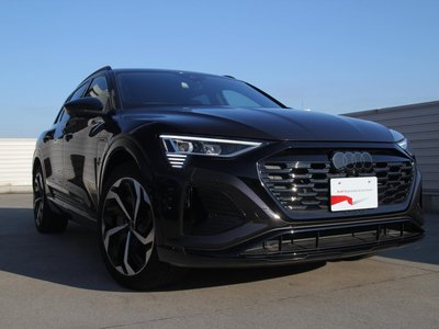 2025 AUDI Q8 E-TRON 缩略图 38