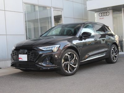 2025 AUDI Q8 E-TRON photo 3