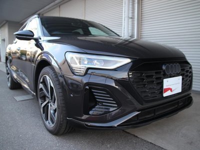 2025 AUDI Q8 E-TRON 缩略图 34