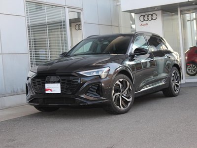 2025 AUDI Q8 E-TRON photo 2