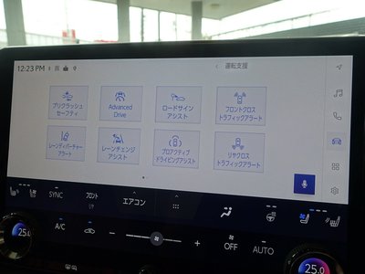 2023 Lexus RX thumbnail 47