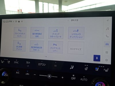 2023 Lexus RX thumbnail 48