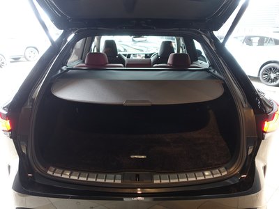 2023 Lexus RX thumbnail 65