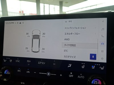 2023 Lexus RX thumbnail 50