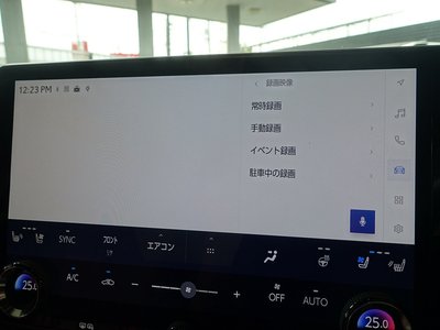 2023 Lexus RX thumbnail 49