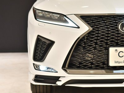 2022 Lexus RX photo 11