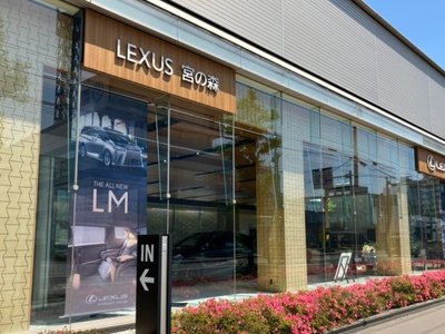 2022 Lexus RX thumbnail 24