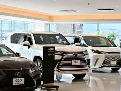 2022 Lexus RX thumbnail 29