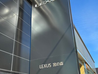 2022 Lexus RX thumbnail 23
