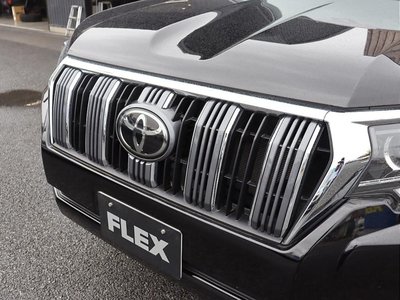 2021 Toyota LAND CRUISER PRADO photo 11