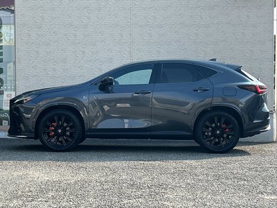 2023 Lexus NX — миниатюра 66