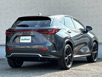 2023 Lexus NX — миниатюра 69