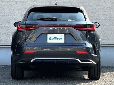2023 Lexus NX — миниатюра 68