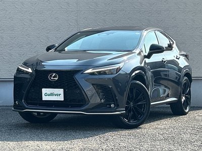 2023 Lexus NX — миниатюра 65