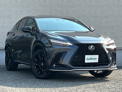2023 Lexus NX — миниатюра 63