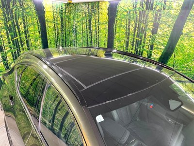 صورة مصغرة 30 لـ 2023 Lexus NX