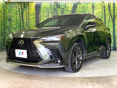 صورة مصغرة 21 لـ 2023 Lexus NX