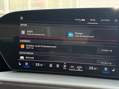 2025 AUDI SQ5 thumbnail 26