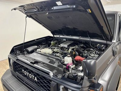 2024 Toyota LAND CRUISER 70 缩略图 14
