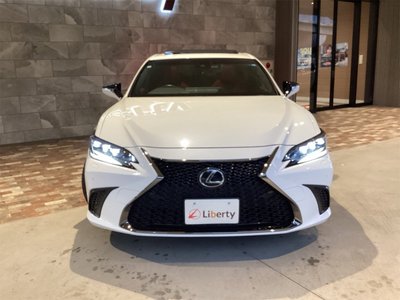 2022 Lexus ES thumbnail 23