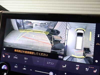 2024 Toyota ALPHARD — фото 12