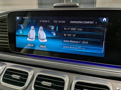 2021 Mercedes-BENZ GLS thumbnail 30