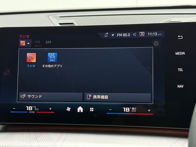 2025 BMW X2 缩略图 33