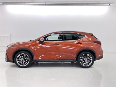 2023 Lexus NX 缩略图 17